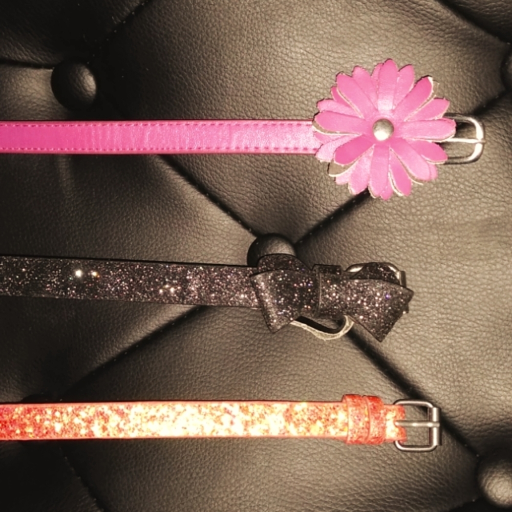 3 Girls Belts